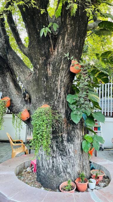 A Luxury Duplex In Dili City, Timor-Leste Exterior foto