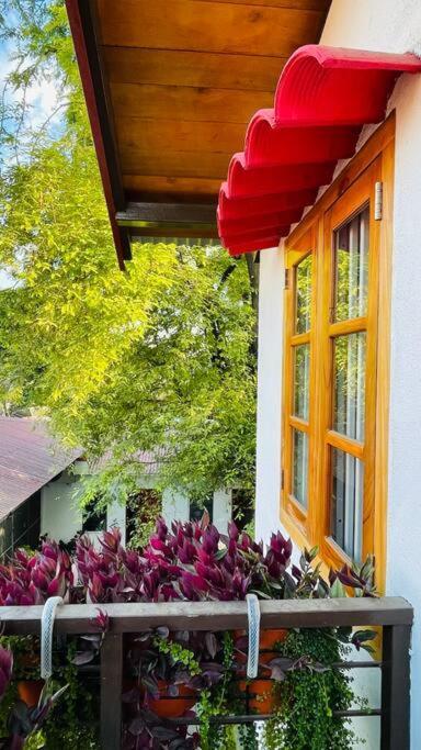 A Luxury Duplex In Dili City, Timor-Leste Exterior foto